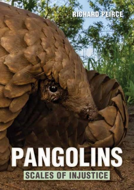 Literature Review Pangolins Scales of Injustice Cover - 2026 Jan 03